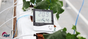 Clima de un Invernadero. ¿Cómo conseguir la Temperatura Ideal?